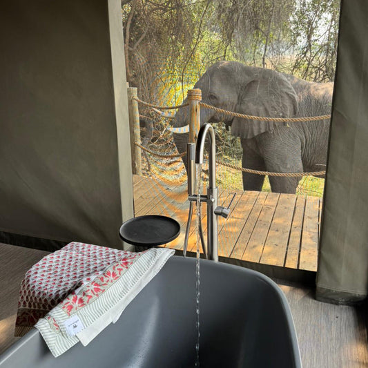 What I packed (and used!) from Judd Shop in Botswana.