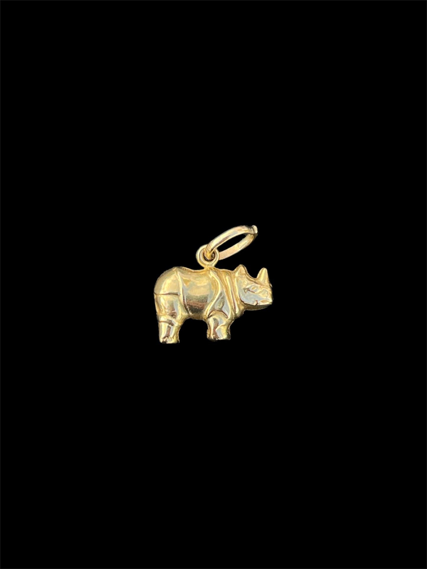9CT CHARMS