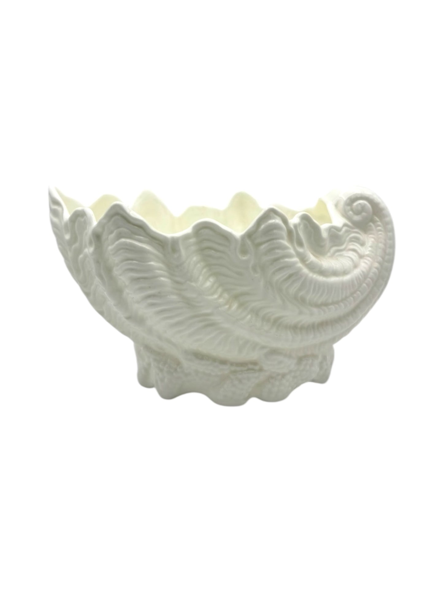 Conch Shell Coalport Porcelain Vase