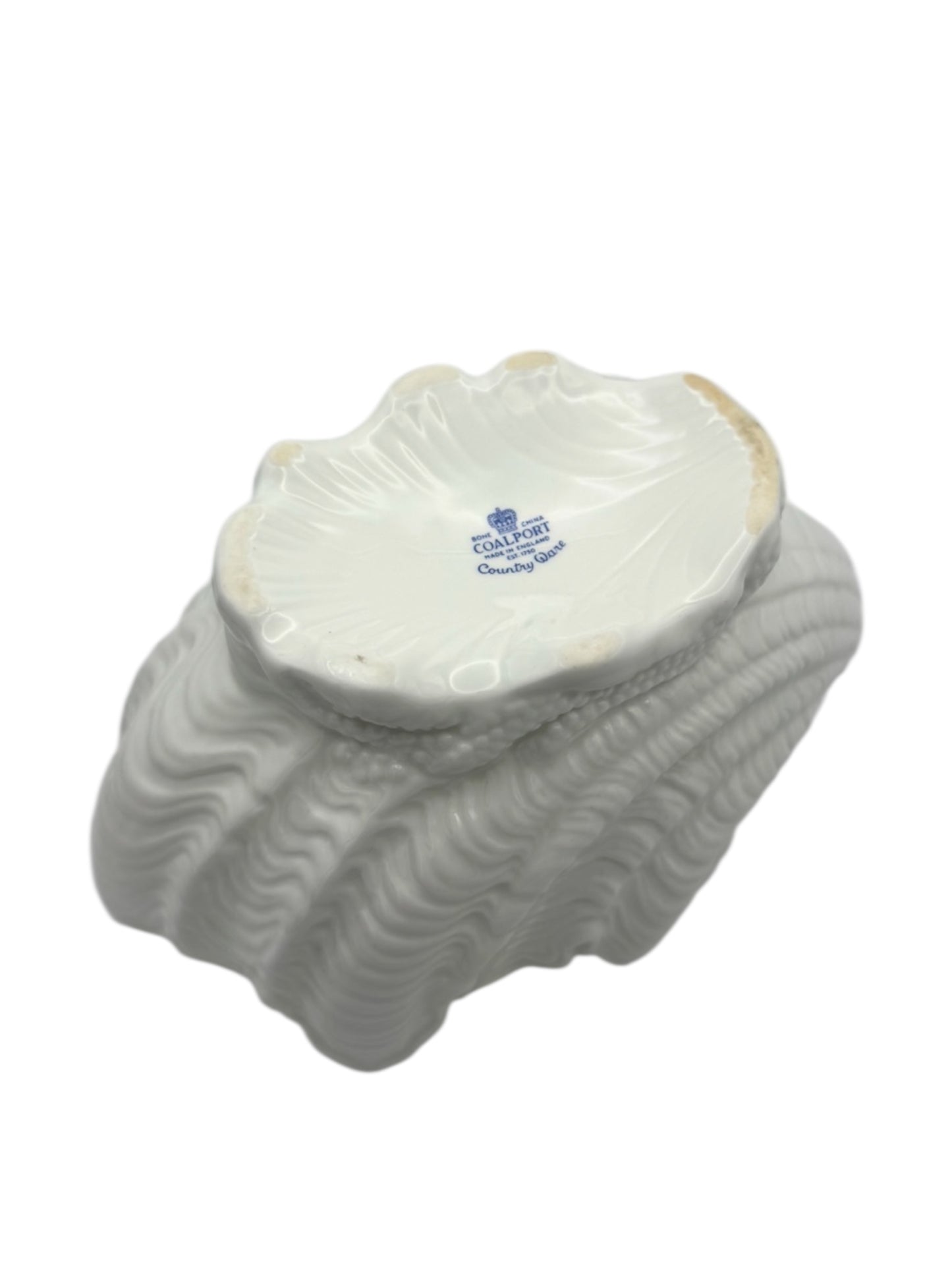 Conch Shell Coalport Porcelain Vase