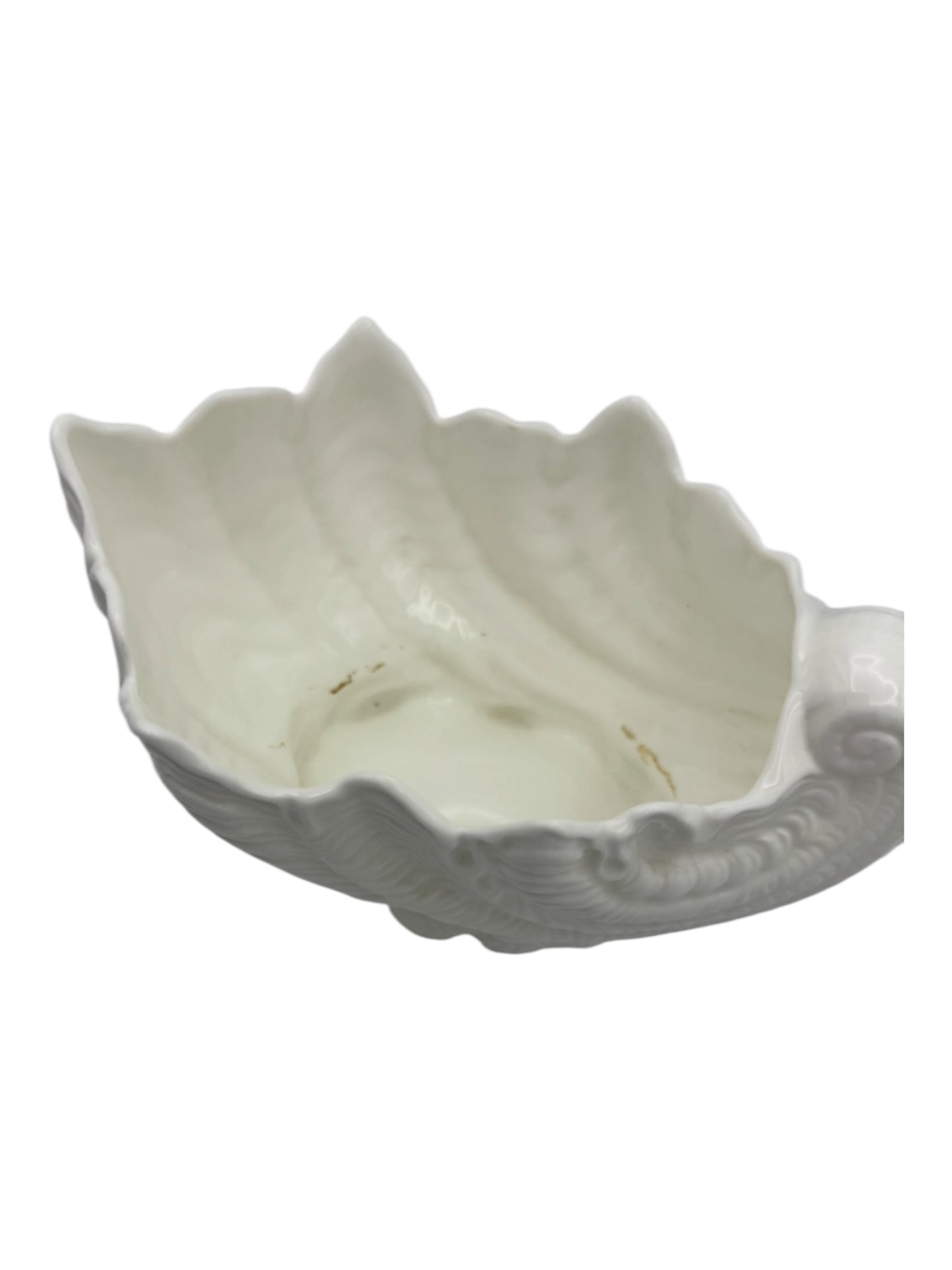 Conch Shell Coalport Porcelain Vase